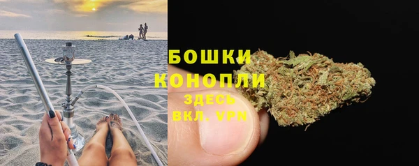 МДПВ Горно-Алтайск