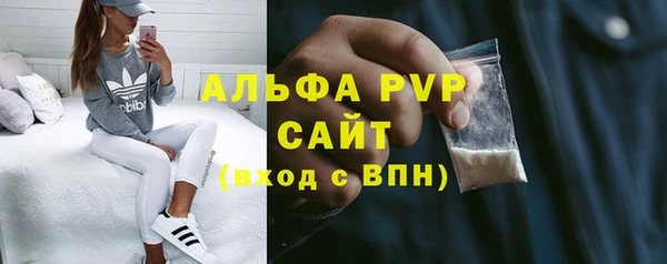 спайс Вяземский