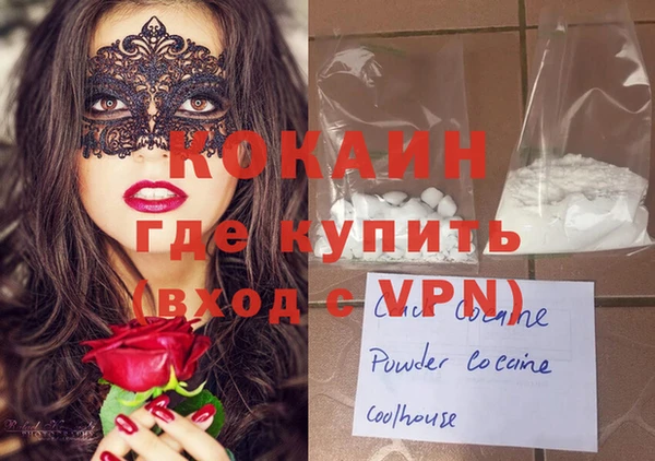 гидра Горняк